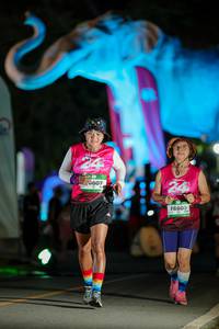 BIB: 
                            <button type="button" onclick="openModal(26533153)" class="btn btn-primary btn-sm float-right btn-popup" data-toggle="modal" data-target=".modal-high-quality">
                        <i class="fas fa-shopping-cart"></i> Add to Cart
                    </button>
                                            <button type="button" onclick="isThisMe(26533153, true)" class="btn btn-success btn-sm float-right btn-popup btn-isme hidden" data-toggle="tooltip" data-placement="bottom" title="นี่คือรูปของคุณใช่ไหม คลิกที่นี่เพื่อเอาเข้าอัลบั้ม">
                        <i class="fas fa-plus"></i> Add to album
                    </button>
                    <button type="button" onclick="isThisMe(26533153, false)" class="btn btn-warning btn-sm float-right btn-popup btn-isnotme hidden">
                        <i class="fas fa-ban"></i> Remove from album
                    </button>